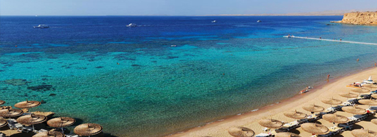 Reef Oasis Blue Bay: Aprende a bucear con 7 noches de alojamiento todo  incluido 